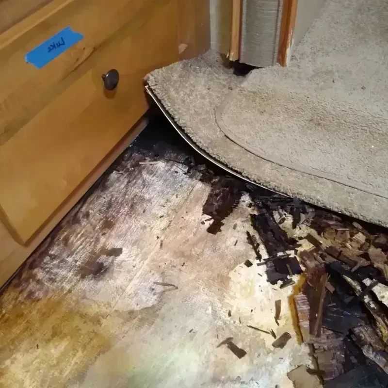 Wood Floor Water Damage in Washington County, MD